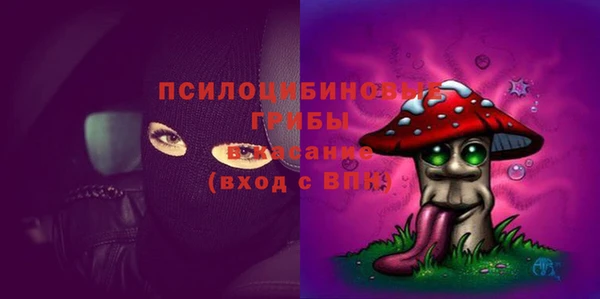 хмурый Волосово