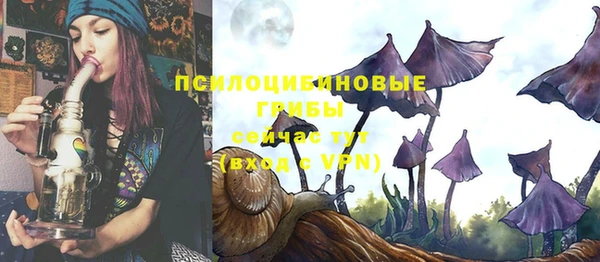 хмурый Волосово