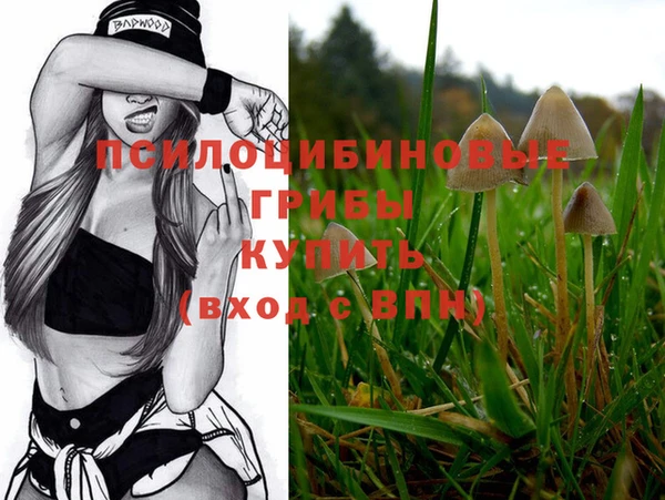 ALPHA-PVP Волоколамск