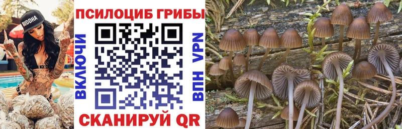 купить   Игра  Галлюциногенные грибы GOLDEN TEACHER 